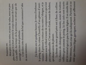 belezi (2)